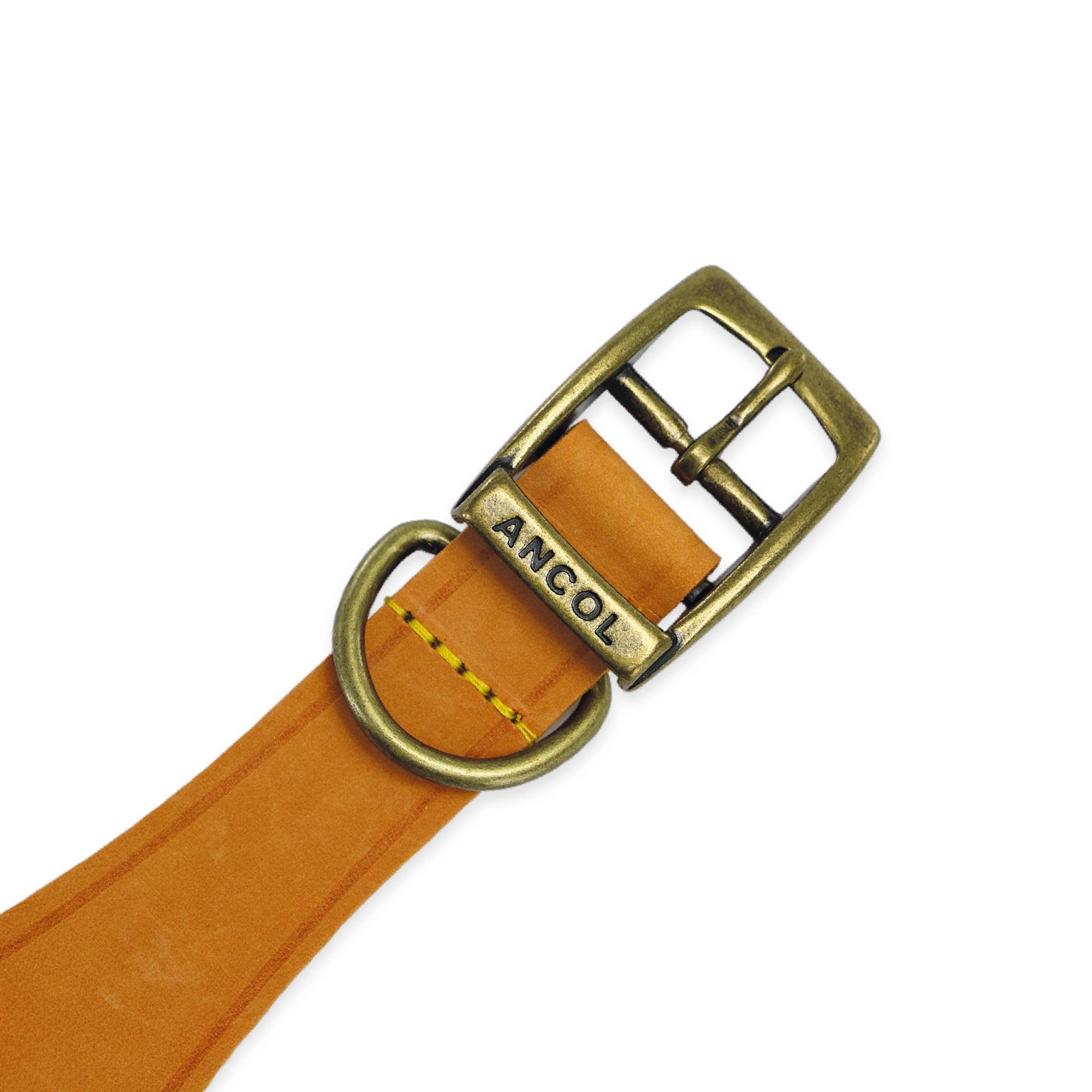 Ancol Pet Products Ltd – wholesale Pet collar – Dog – Timberwolf Leather Hound  Collar ( Size 30-34cm)8