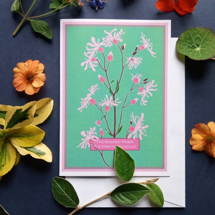 The Ragged Robin Greetings Card for wholesale by Umbellifer