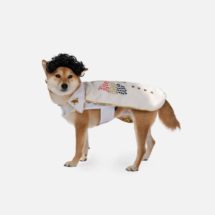 White Elvis Showman Dog Costume for wholesale on Faire2