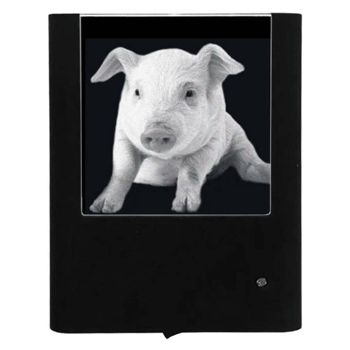 Engraved Pig for wholesale by Nightlight Studio