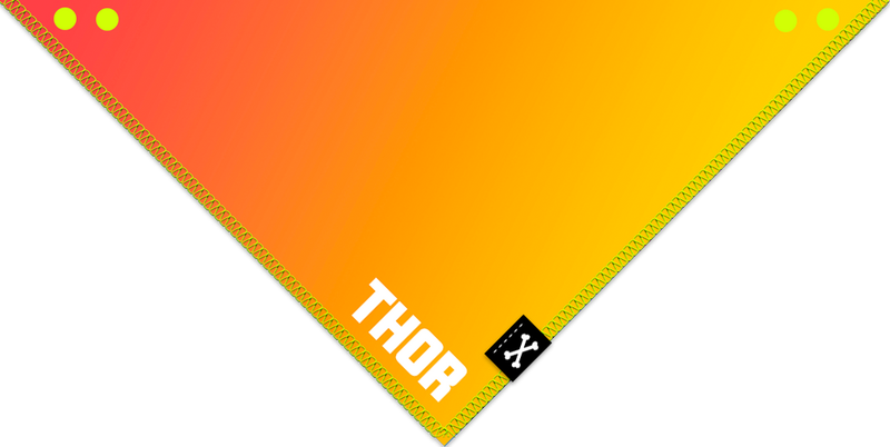 Bad Service Dogs - Vente Bandana – chien - Miami Matins | Bandana personnalisable pour chien orange et rouge0