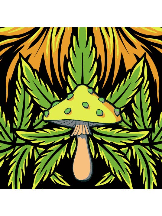 StonerDays Apparel - Vendita all'ingrosso Maglietta stampata - Uomo - Libera la tua mente10