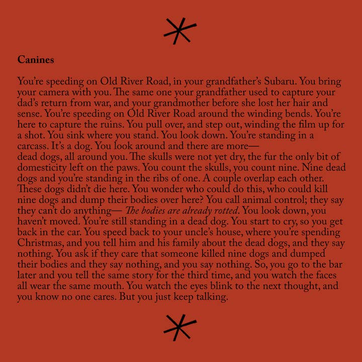 Bottlecap Press - Wholesale Poetry & Drama - Doom Night, by Ezra Mars1