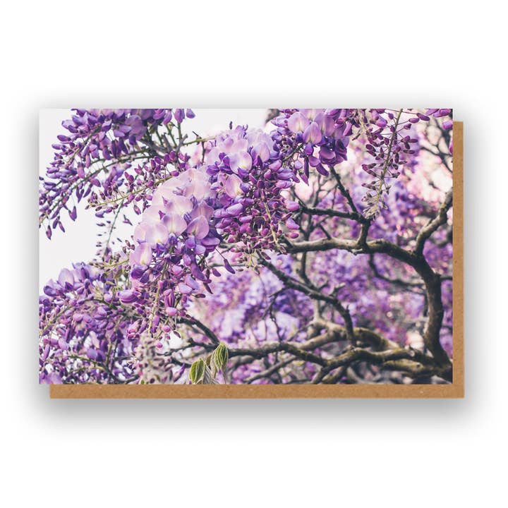 Cartão Floral Glicínias por atacado de Marina Walker