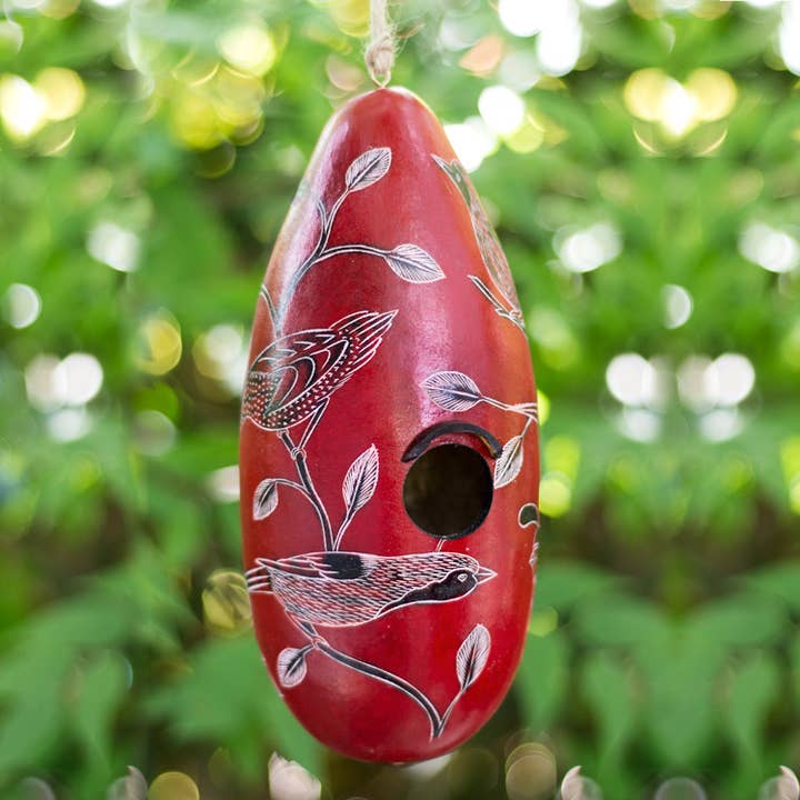 Lucuma Designs – wholesale Bird house – Birds of North America - Gourd Birdhouse - Artist Made