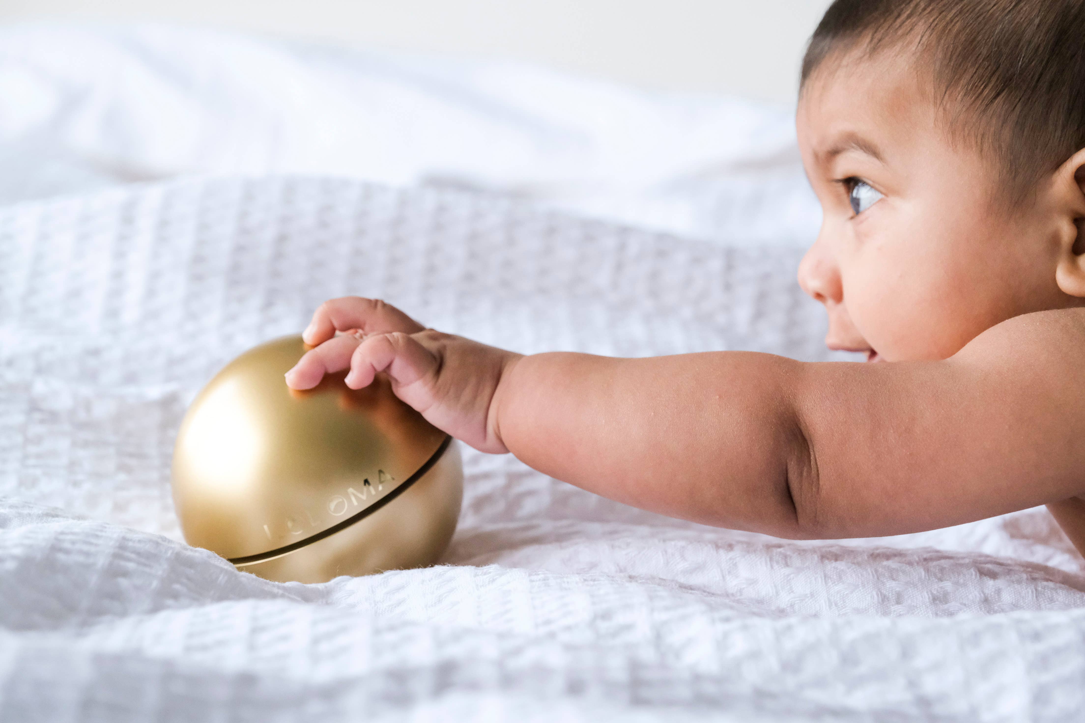 Loloma - Wholesale Bath/Body Oil - Loloma Fiji Organic Virgin Coconut Oil2