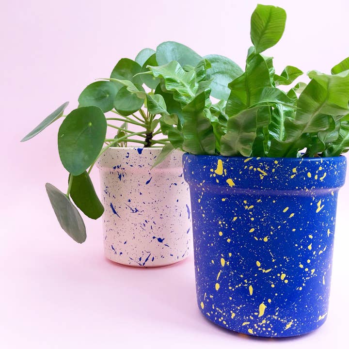 Hello Marilu - Wholesale Plant Pot - Large Splatter Plant Pots - Choose your colours3