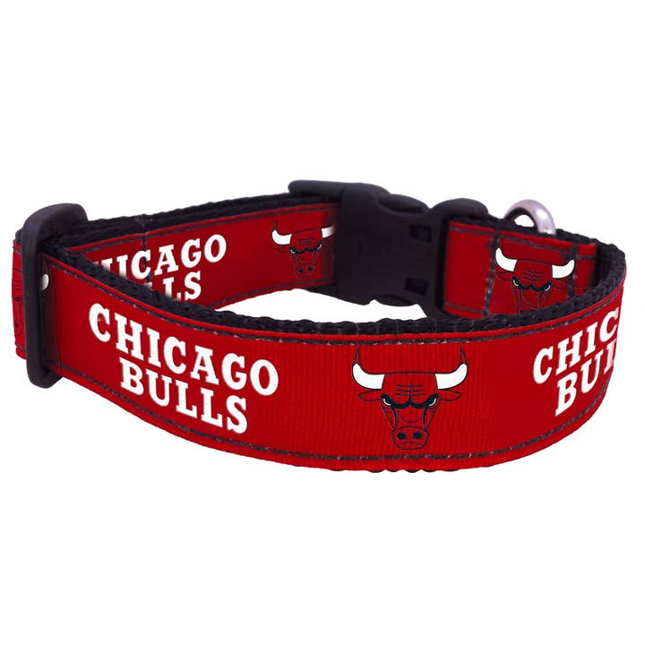 Chicago Bulls - Cuello para venta al por mayor de All Star Dogs