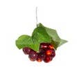 Kurt S. Adler, Inc. - Wholesale String Lights - 8"20L B/O BURG GRAPE CLUSTER LIGHTS