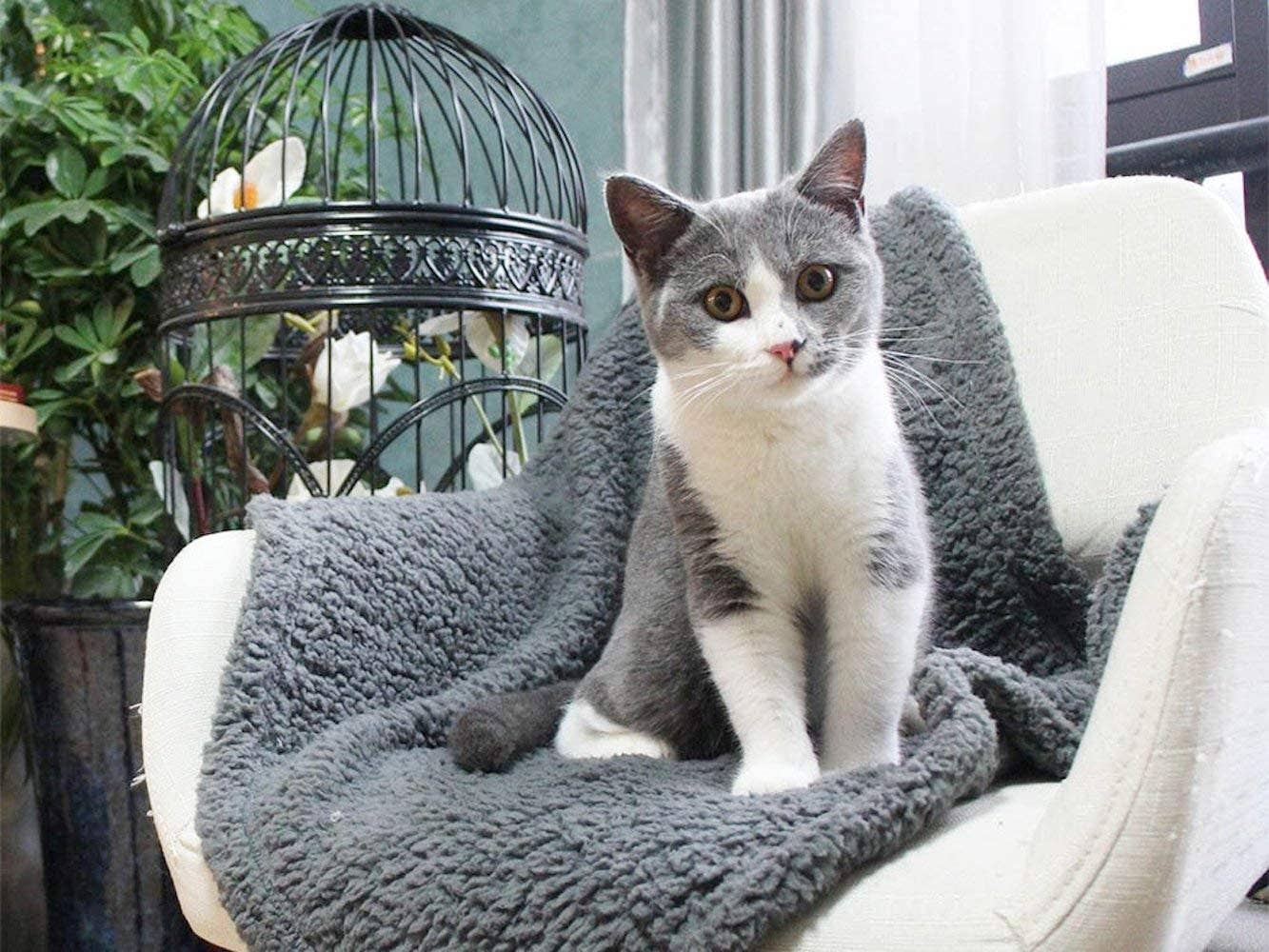 Pet Wiz - Wholesale Pet Blanket - Cat/Dog - Fluffy Fleece Blanket - Soft & Warm Throw for Dogs & Cats13