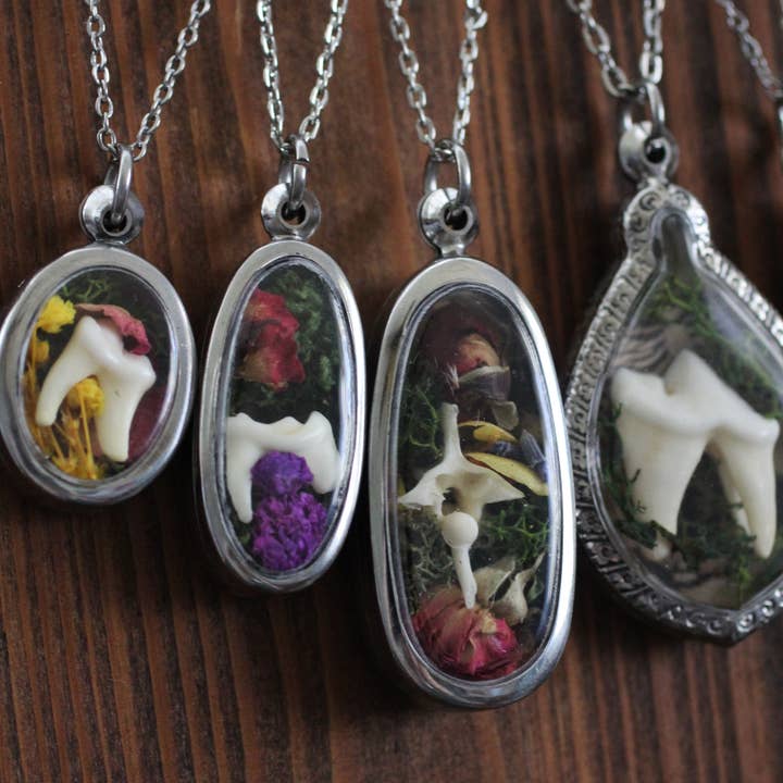 Kitty Bomb Curios - Wholesale Pendant/Charm Necklace - Bone Lockets oddity reliquary tooth window jewelry necklace