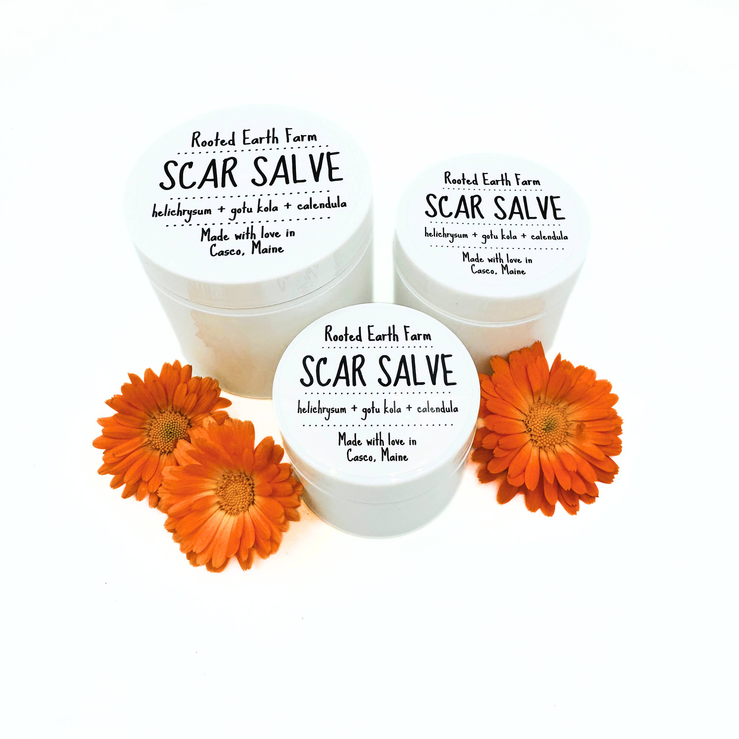Rooted Earth Farm + Apothecary - Wholesale Healing Salve/Balm/Cream - Scar Salve - 3 Size Options3