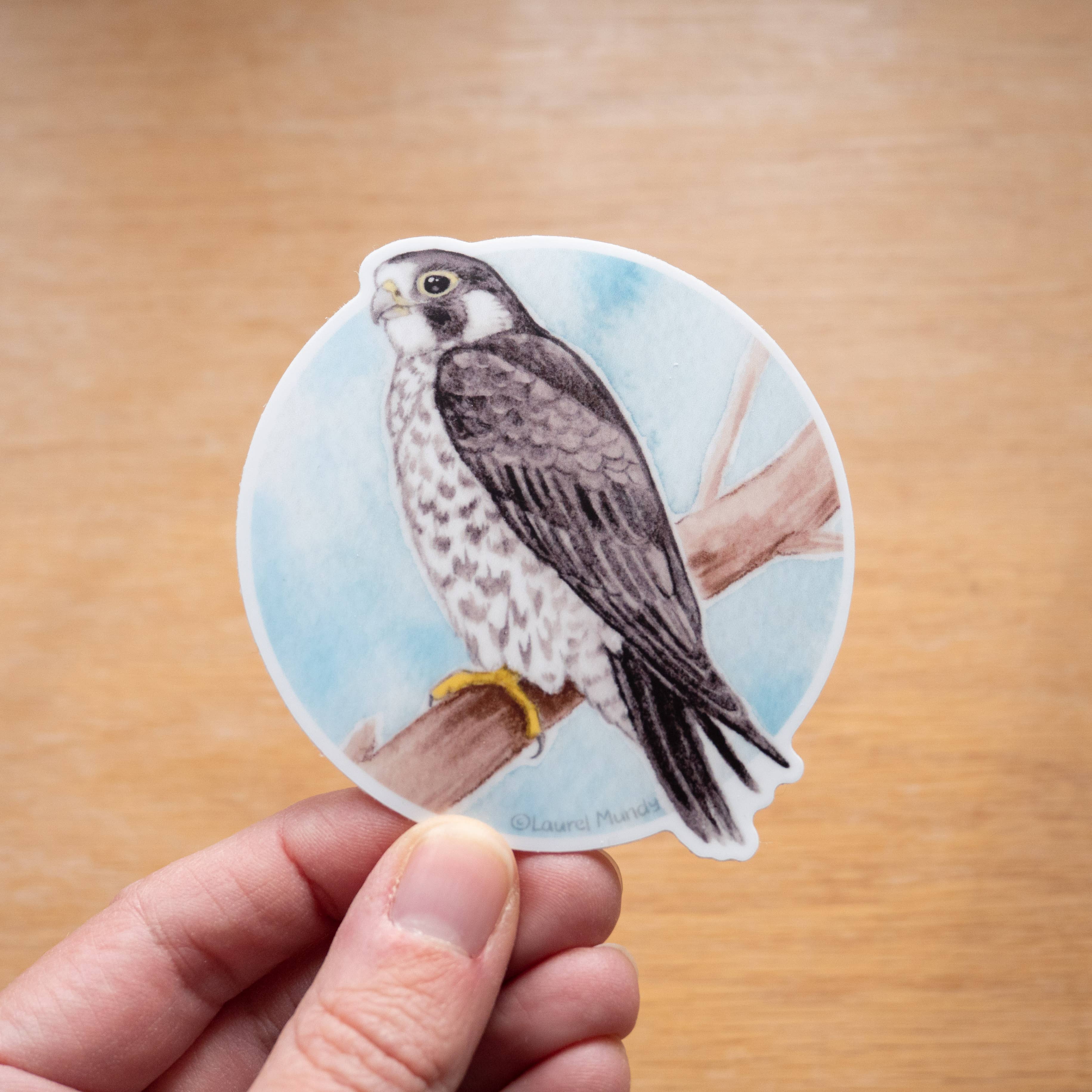 Laurel Mundy Illustration - Wholesale Sticker - Peregrine Falcon 3" Medium Vinyl Sticker Waterproof0