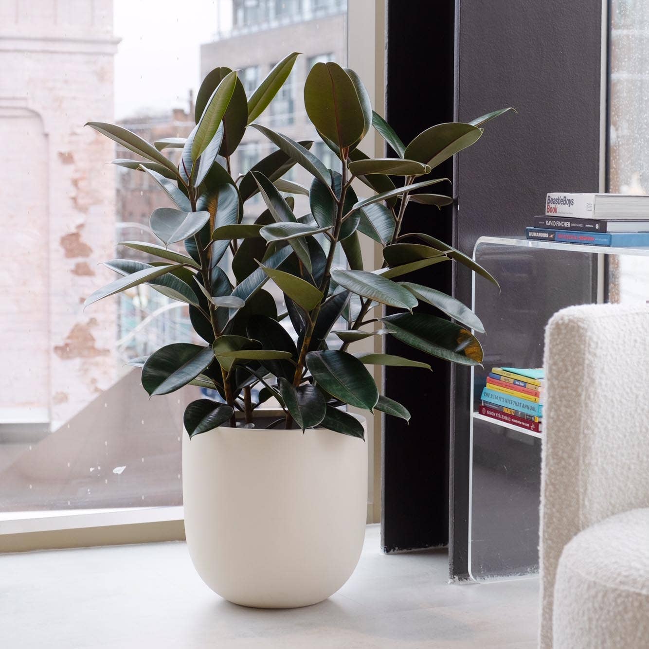 Common House Studio - Vendita all'ingrosso Vasi per piante - VASO ESSENZIALE | FIORIERA18