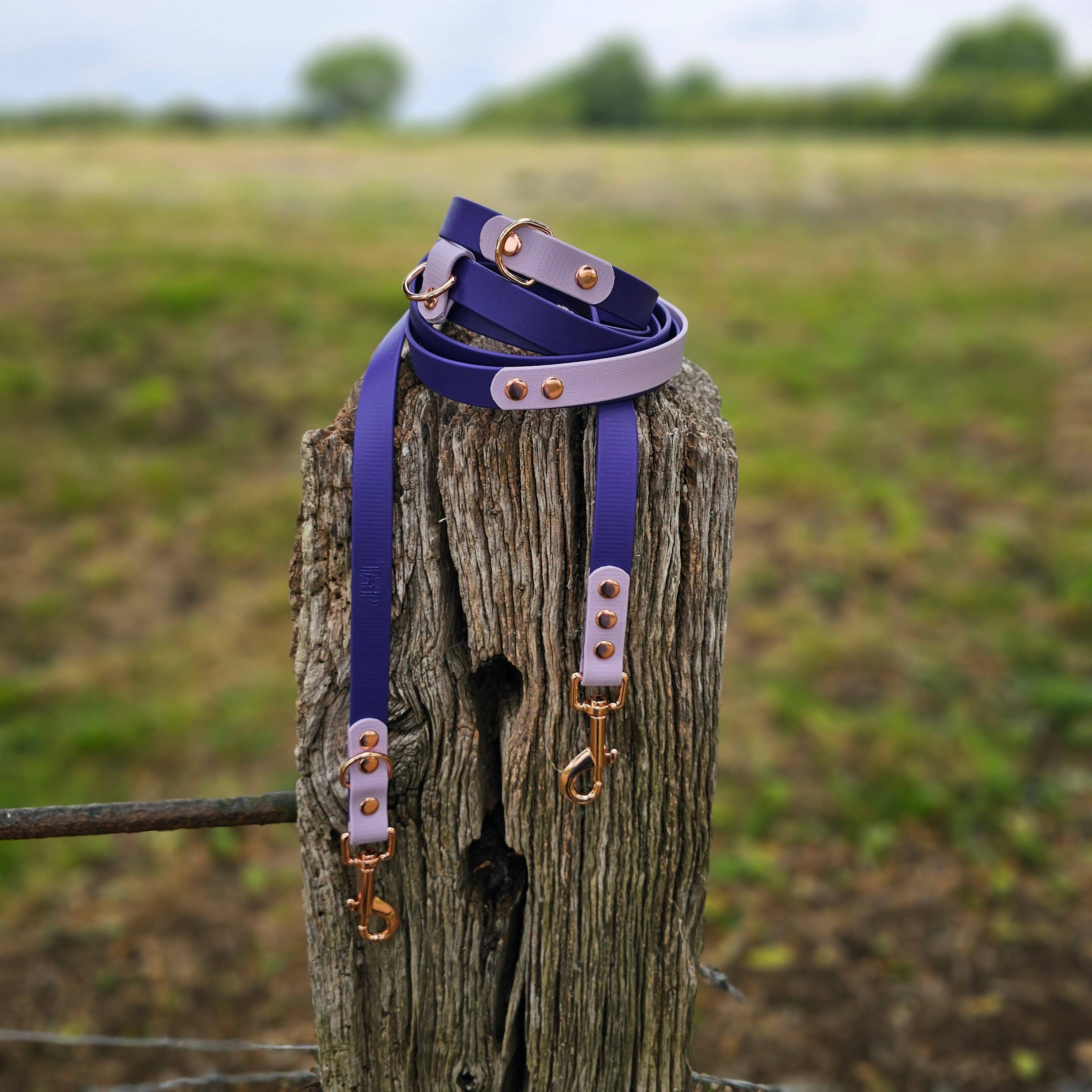 Trinkety Paws - Wholesale Hondenriem - Hond - Waterdichte BioThane handsfree hondenriem / multifunctionele lijn3