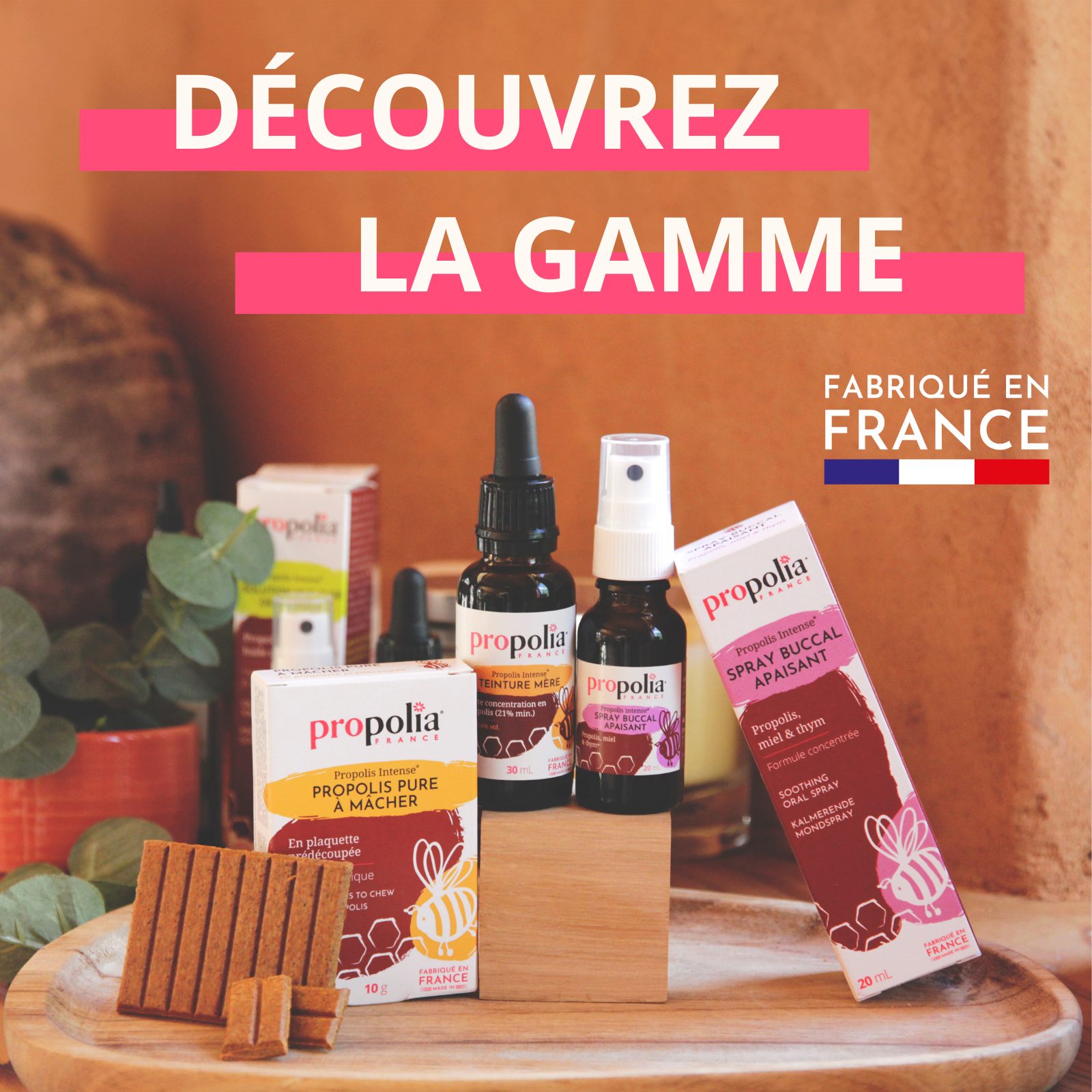 Propolia® - Wholesale Chewing Gum - Pure Chewable Propolis - 10 g tablet5