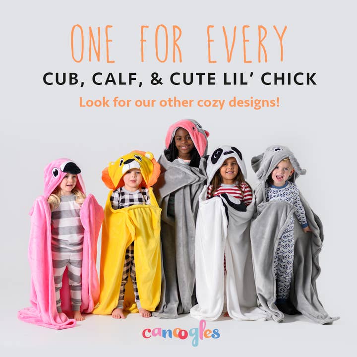 Canoogles – Großhandel Bettdecke – Kind & Baby – Türkis Dino Kids Kapuzendecke5