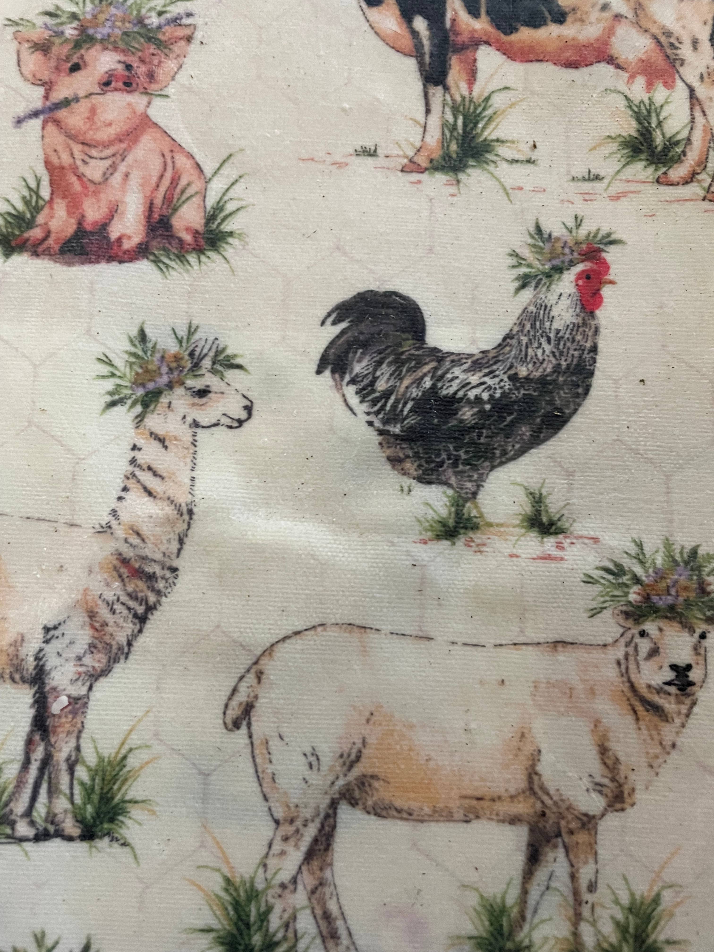 Harvest + Harmony - Wholesale Food Storage Wrap/Bag - Harvest + Harmony Beeswax Wrap, 6" x 6", Farm Decor 5