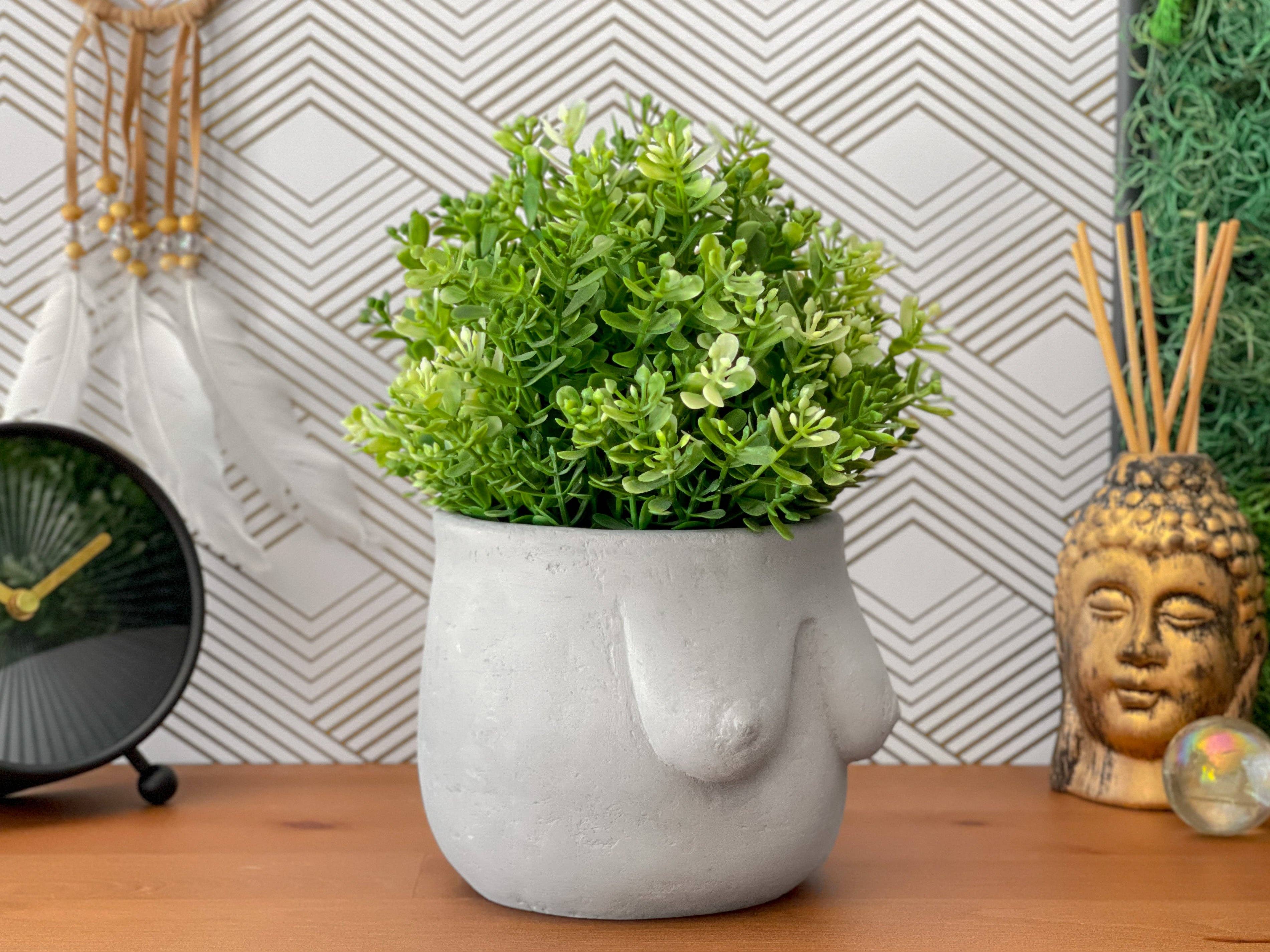 Planters Made in the USA - Wholesale Plant Pot - Boobs Planter, Woman Body Pot, Female Torso Decor, Breast2