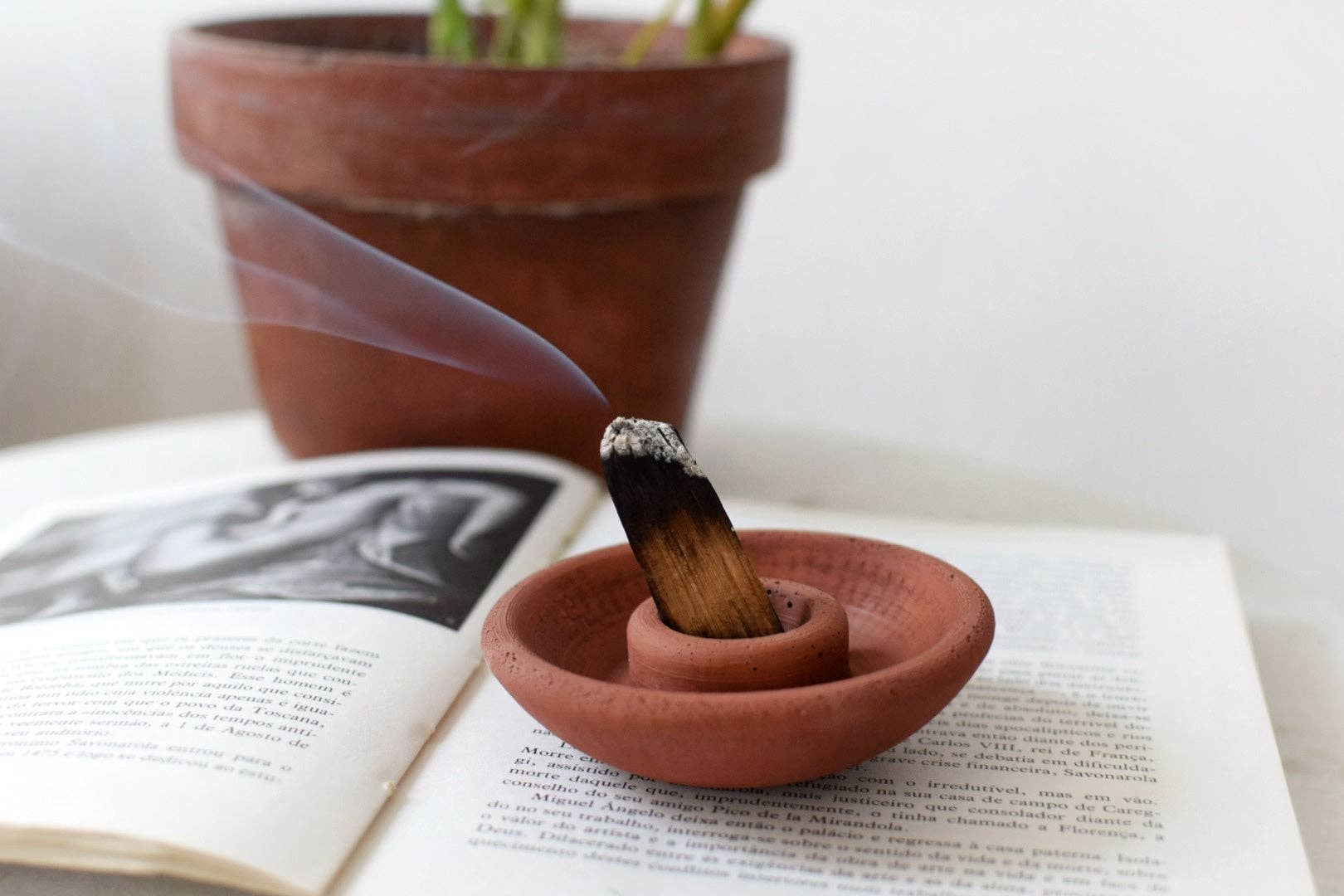 Planet Y – Engroshandel Røgelsesholder – Palo Santo Holder2