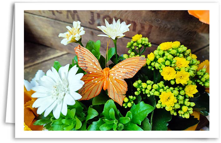 Yabué – wholesale Everyday greeting card – Blank card/Greeting card/4994700