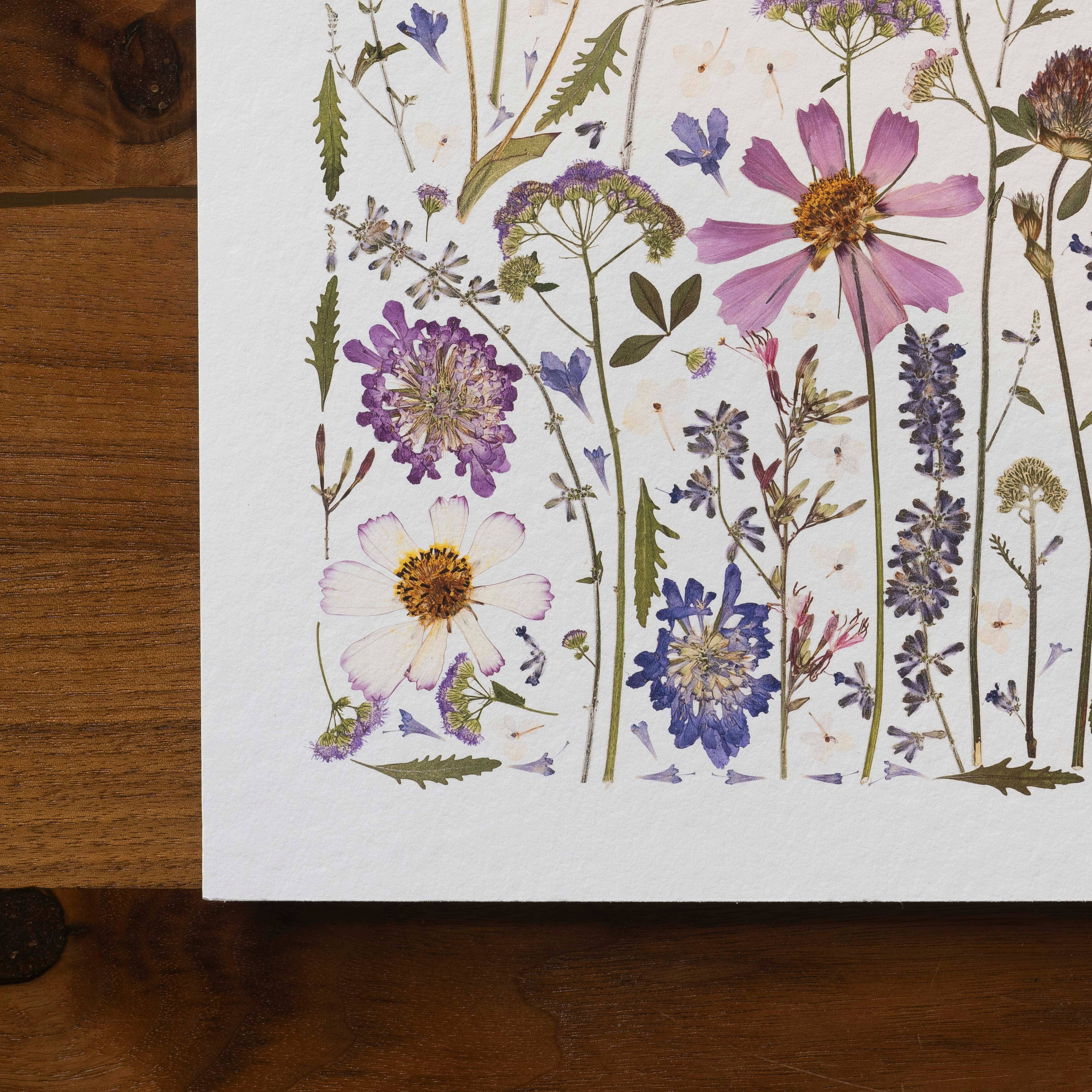 Hope Steinle Pressed Flower Art - Wholesale Art Print - Pressed Flower Collage Fine Art Print - "Serenity Blooms"3