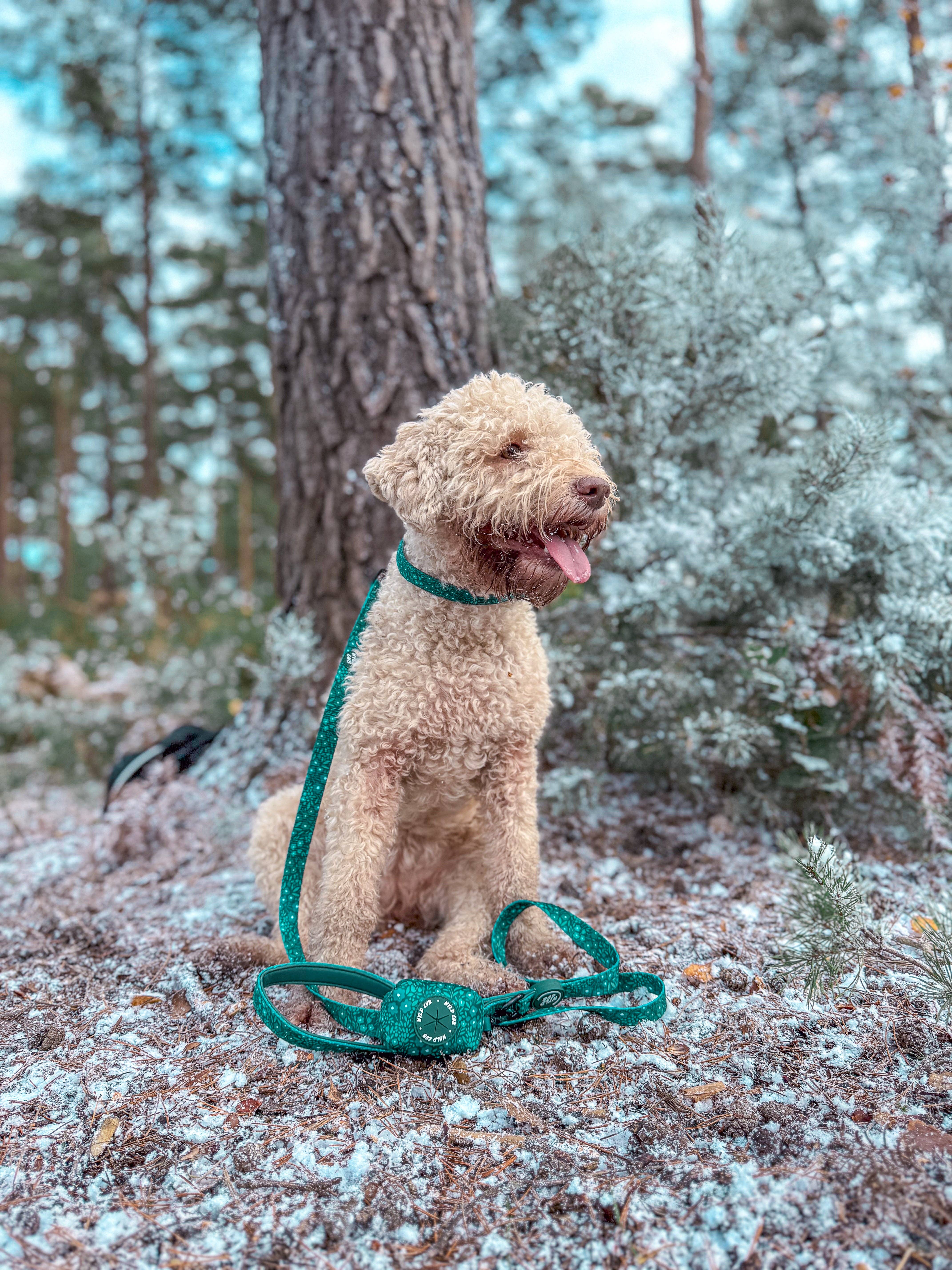 WYLD CUB – wholesale Pet leash – Dog – Dog Lead: Notting Hill Gooseberry3