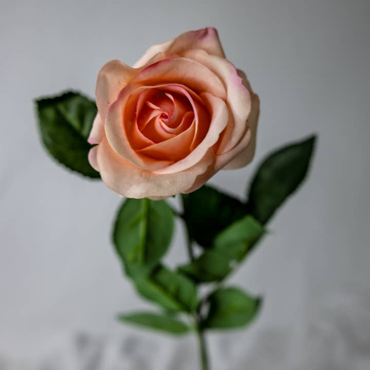 Realistic Artificial Flowers – Großhandel Künstliche Blumen – Vintage Koralle Echt-Touch Halbe Blüte Rose
