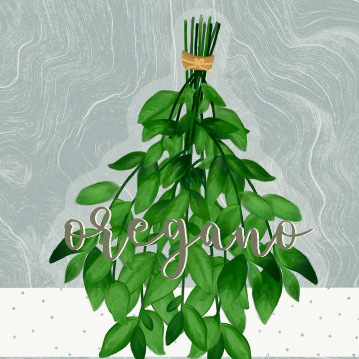 Kellio Studio - Venta al por mayor Pegatina - Pegatinas para plantas7