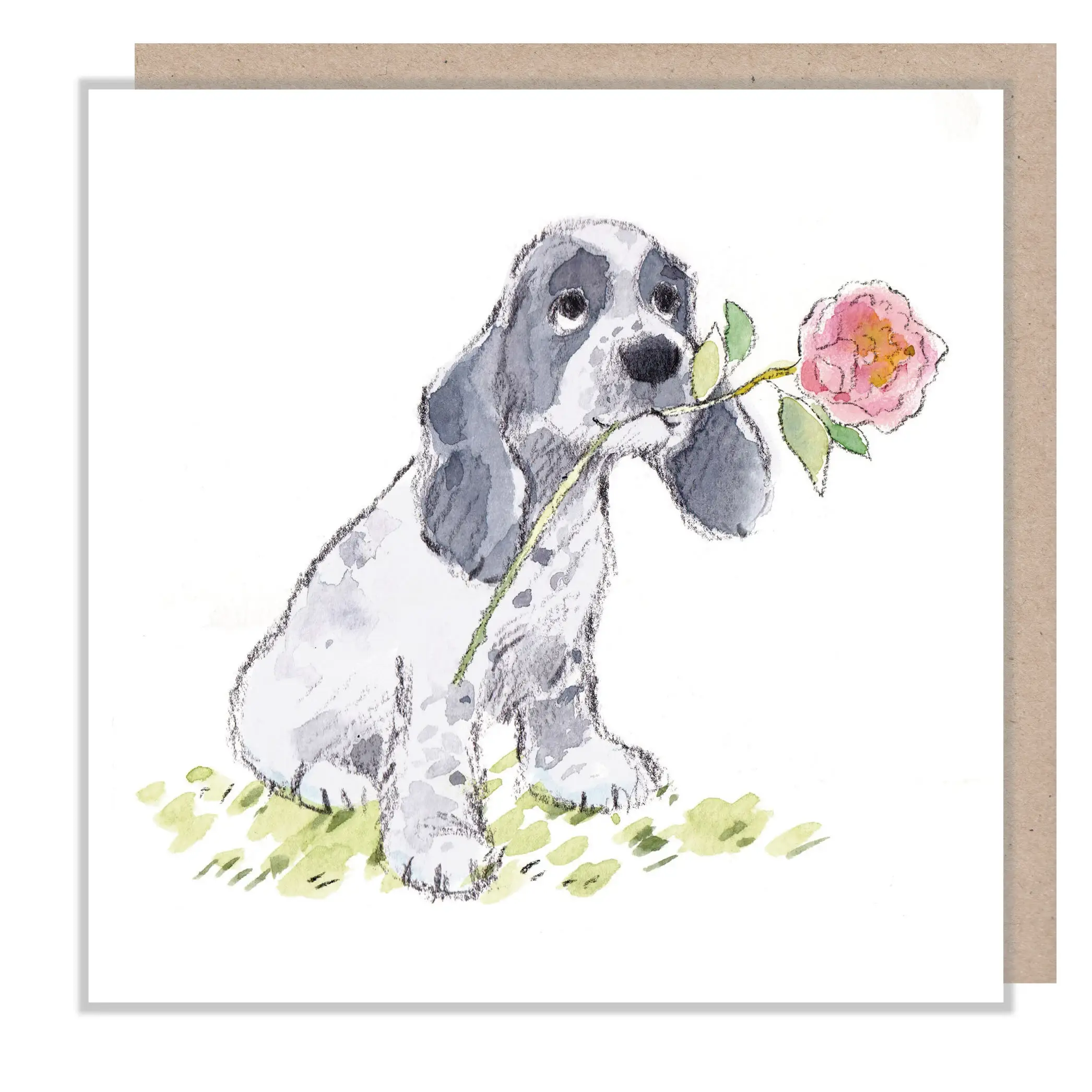 Paper Shed Design Ltd – Engroshandel Hverdagshilsen kort – Blank kort - Cocker Spaniel Med Lyserød Blomst0