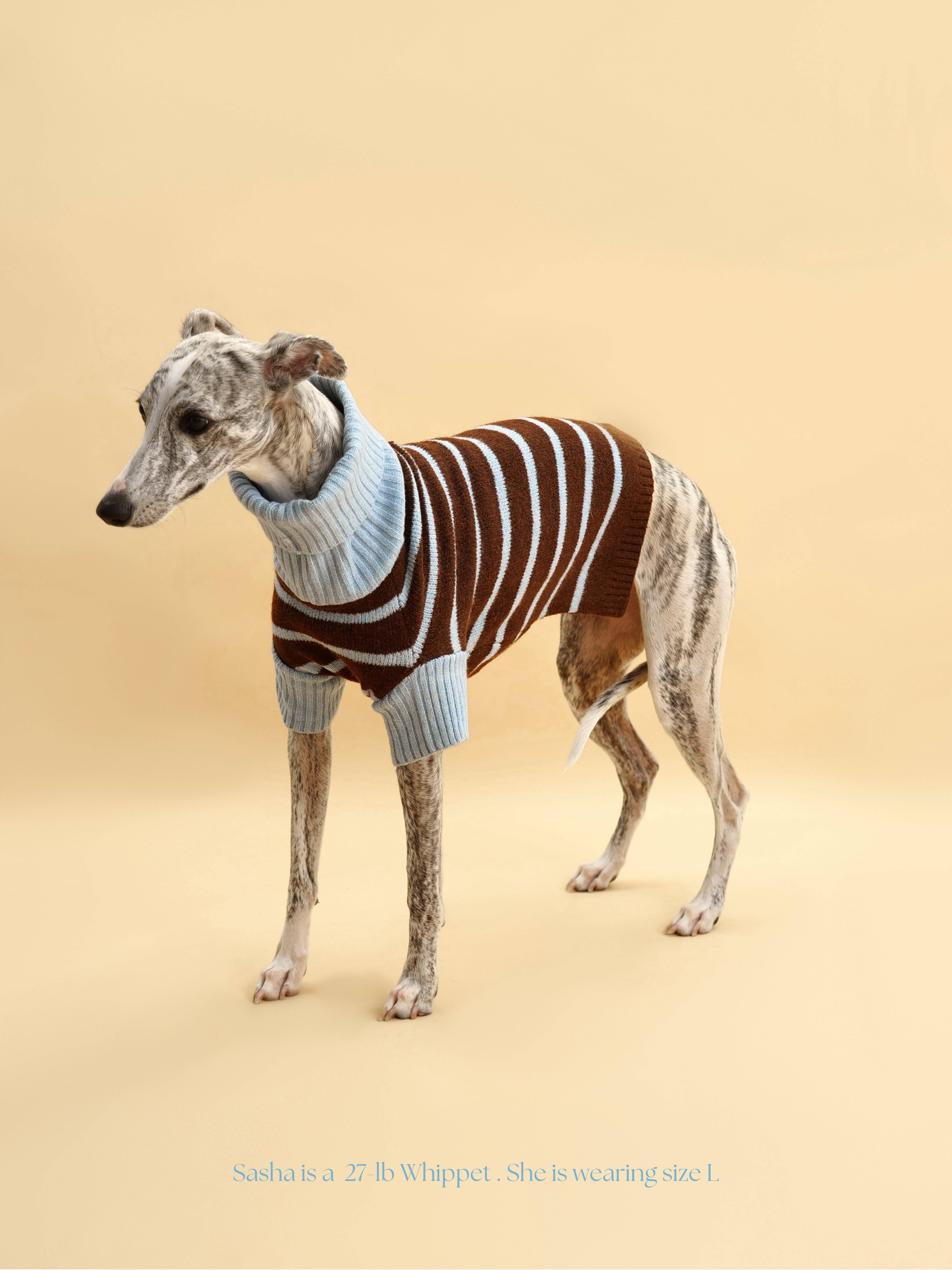 BarkBarkBaby - Wholesale Pet Sweater - Dog - Bluebell Stripes Sweater3