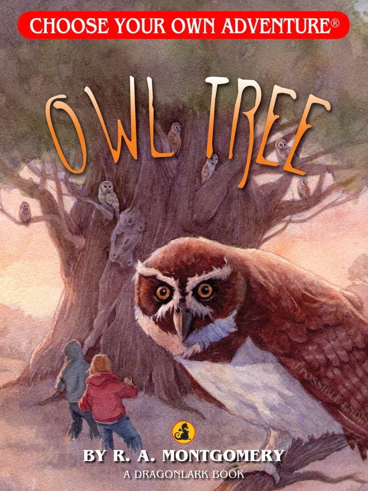 Owl Tree, Children's Book for wholesale by Choose Your Own Adventure