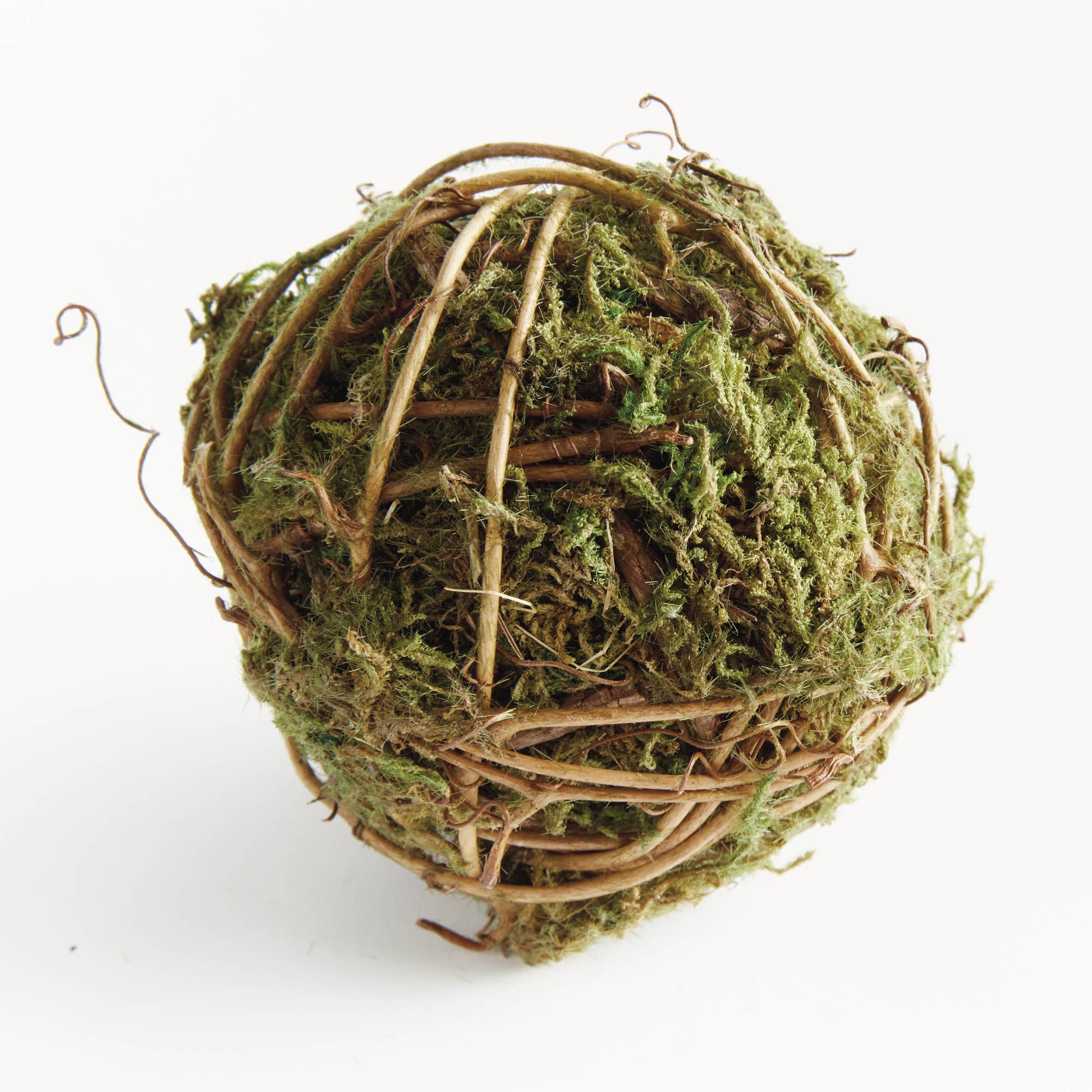 Vert Orbe Mossy Vine 4" en vente sur Faire3