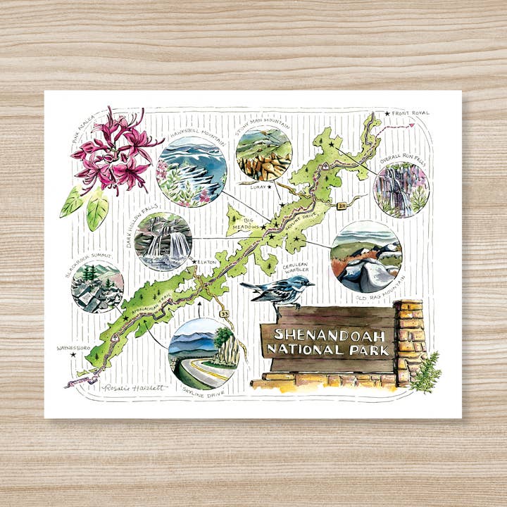 Shenandoah National Park Illustrated Map for wholesale by Rosalie Haizlett Illustration