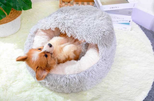 PetPals Group – Engroshandel Seng - Kat – Petpals Igloo Pearl Grå Katteseng2