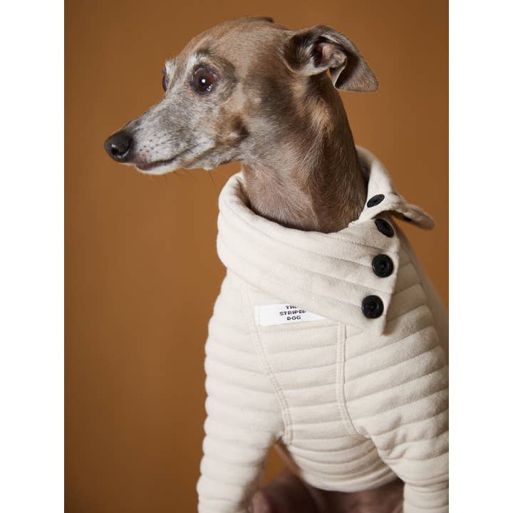 The Striped Dog – Großhandel Haustier-Pullover – Hund – Gesteifter Rollkragenpullover in Sand mit italienischem Windhund- / Whippet-Motiv PROVENCE