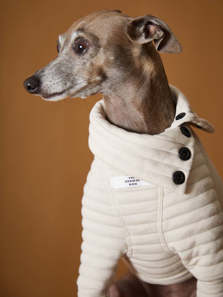 Italienischer Windhund//Whippet Sand Gesteppter Rollkragenpullover PROVENCE für den Großhandel von The Striped Dog