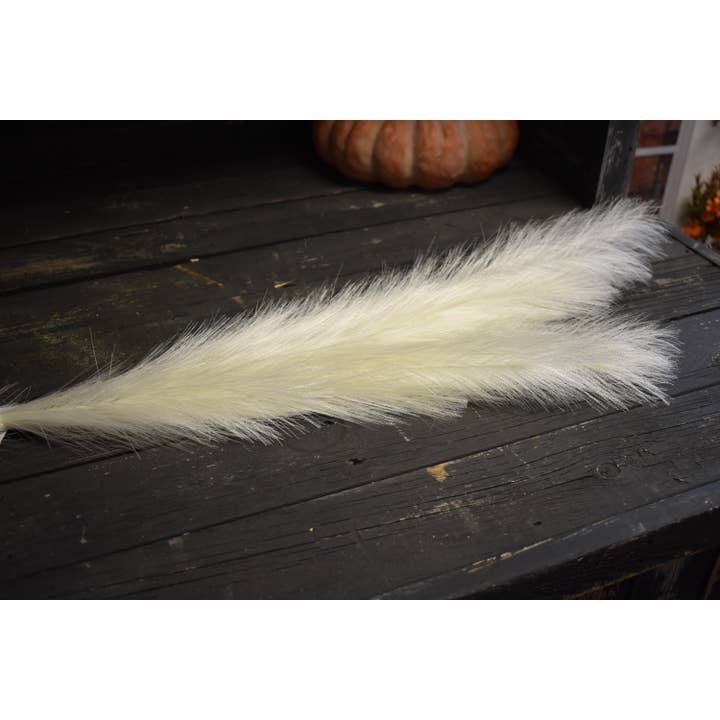 Wholesale Home Decor - Wholesale Dried/Pressed Flowers - Cream Pampas with 26 stems 45in