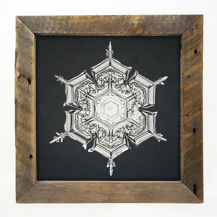 Snowflake-e pour la vente par ginger blue