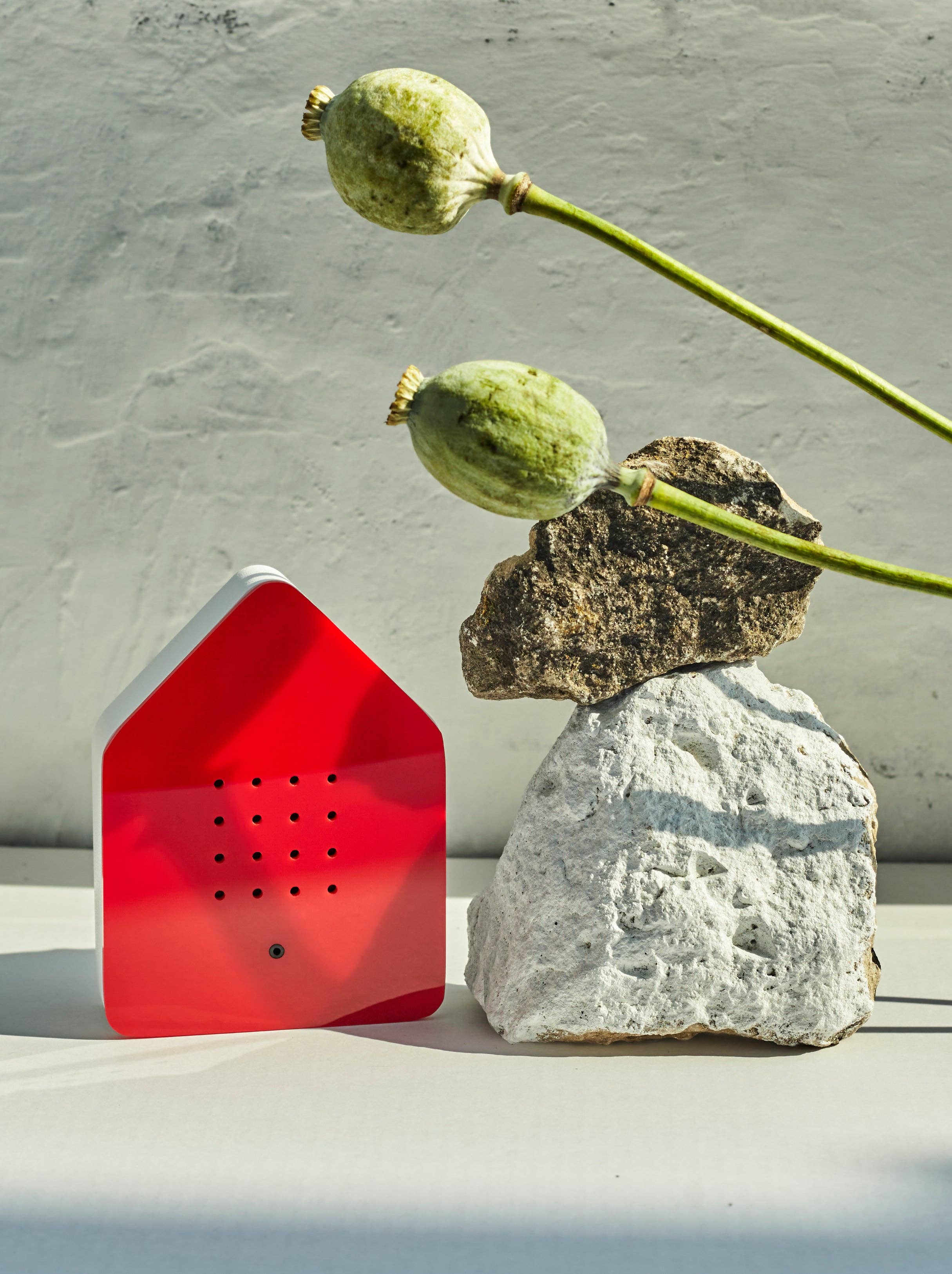 DM Brands Ltd – wholesale Music accessory – Zwitscherbox – Bird Song Sound Box | Red1