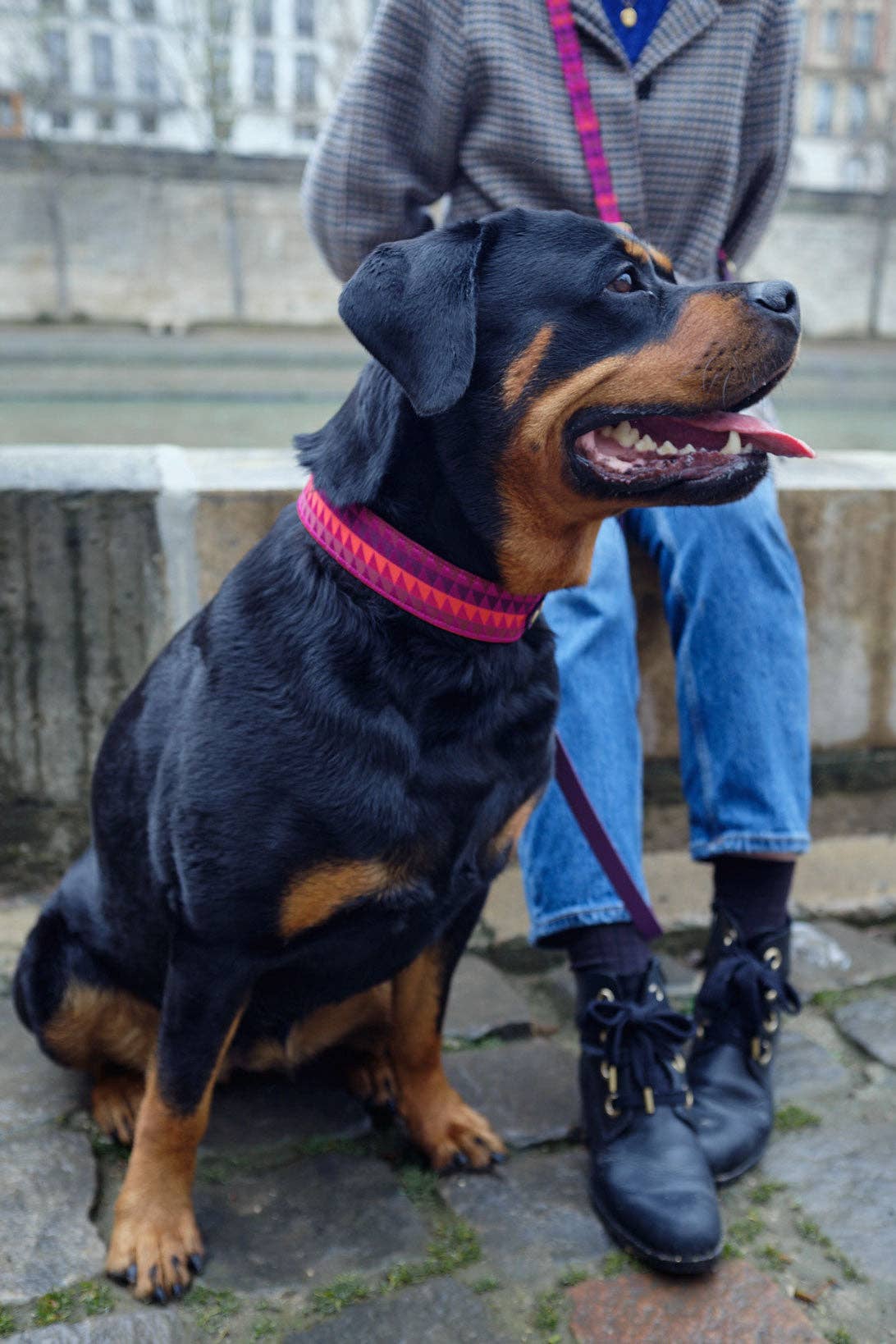 Atelier Markiz - Wholesale Pet Collar - Dog - Rio Necklace3