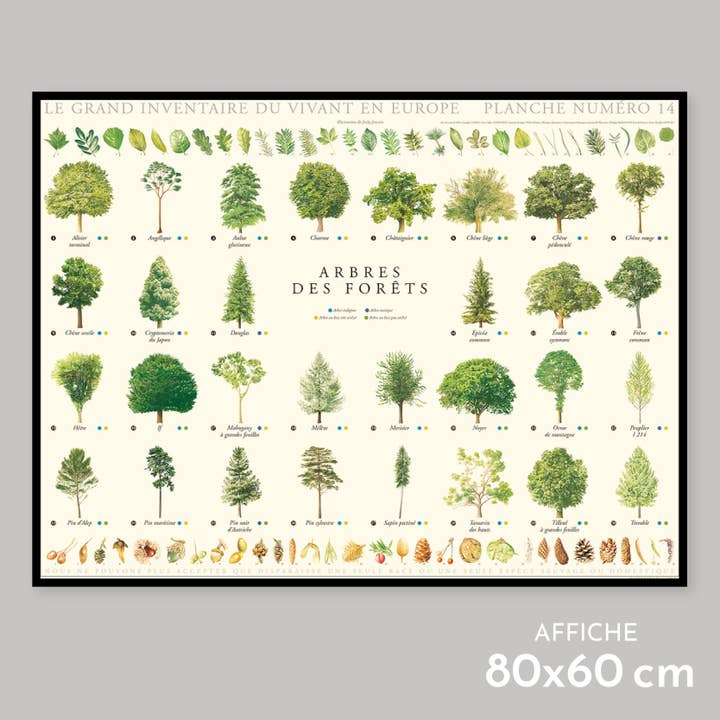 Forest trees - Poster for wholesale by Longue-vue