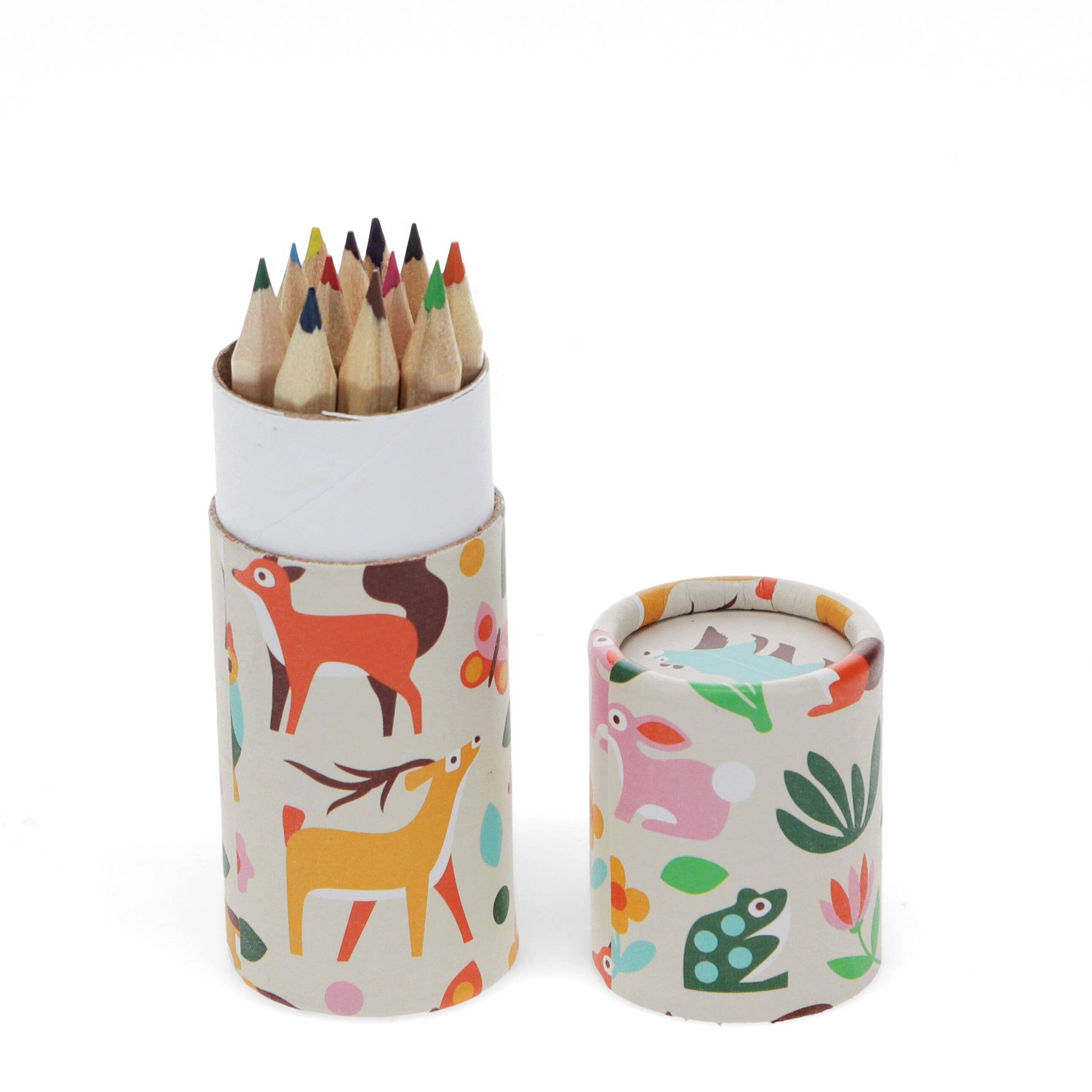 Rex B2B - UK - Vente Crayons de couleur - Tube de crayons de couleur - Forêt2