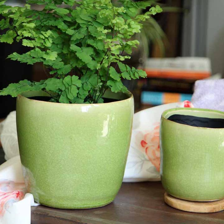 Jewel Freeform Planter, Pistachio Crackle for wholesale by Pacific Home & Garden