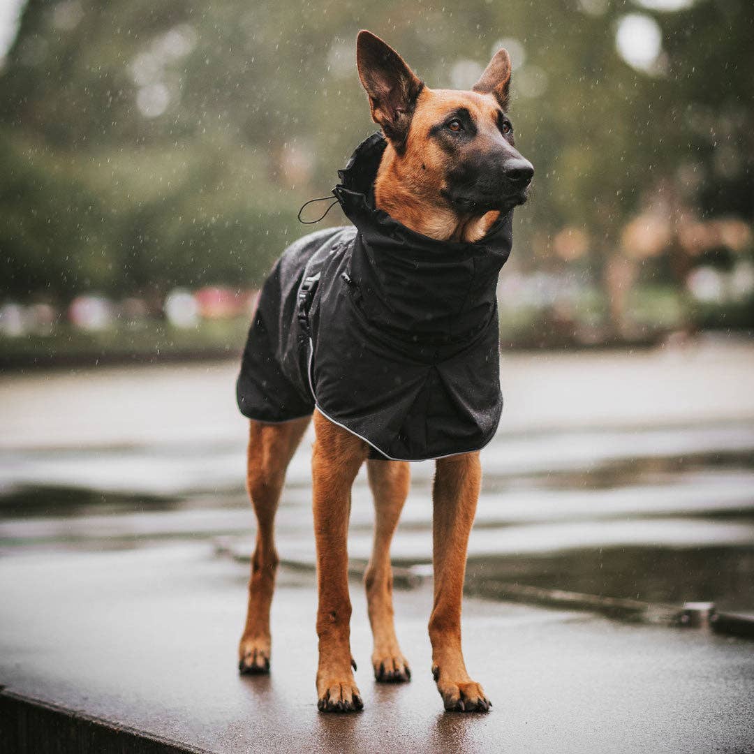 Stylish Hound - Wholesale Pet Raincoat - Dog - Black Raincoat4
