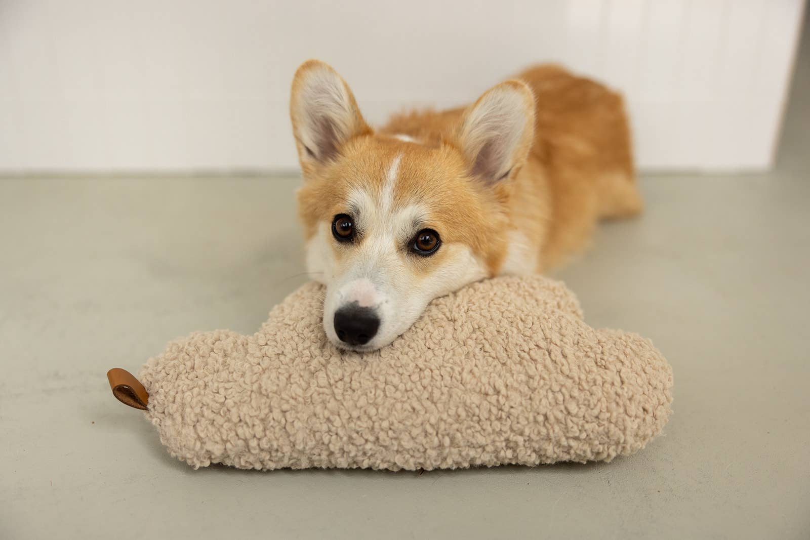 Lieblingspfote - Vendita all'ingrosso Peluche - Cani - Giocattolo a forma di nuvola Nube con effetto scricchiolante1
