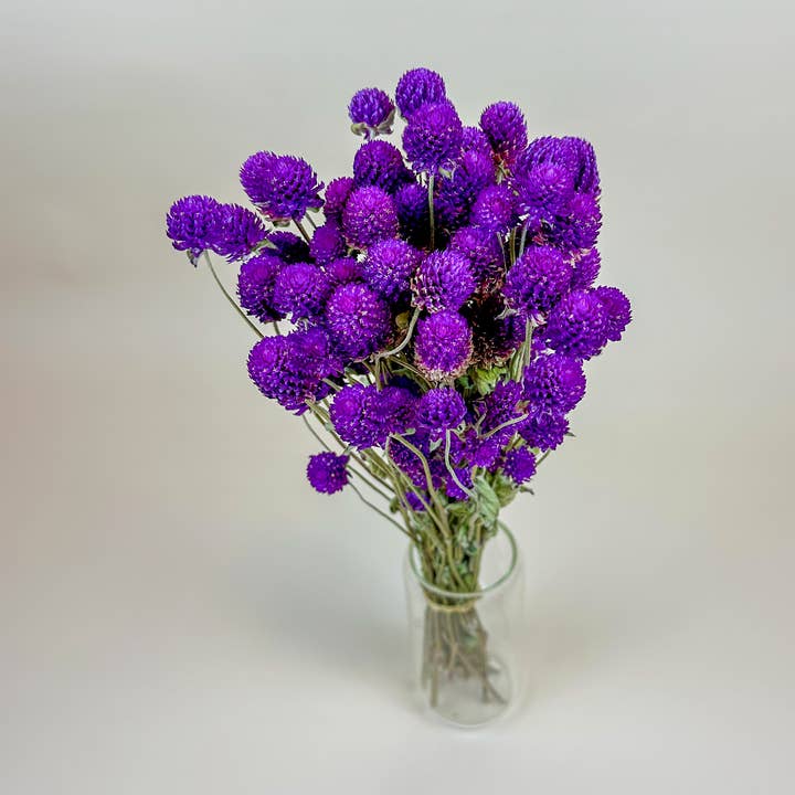 Lovejoy Farms Premium Dried Flowers - Wholesale Dried/Pressed Flowers - Purple Globe Amaranth – Naturally Dried Flowers0