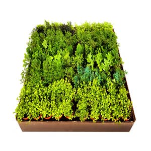 Purchase Wholesale preserved moss. Free Returns & Net 60 Terms on Faire
