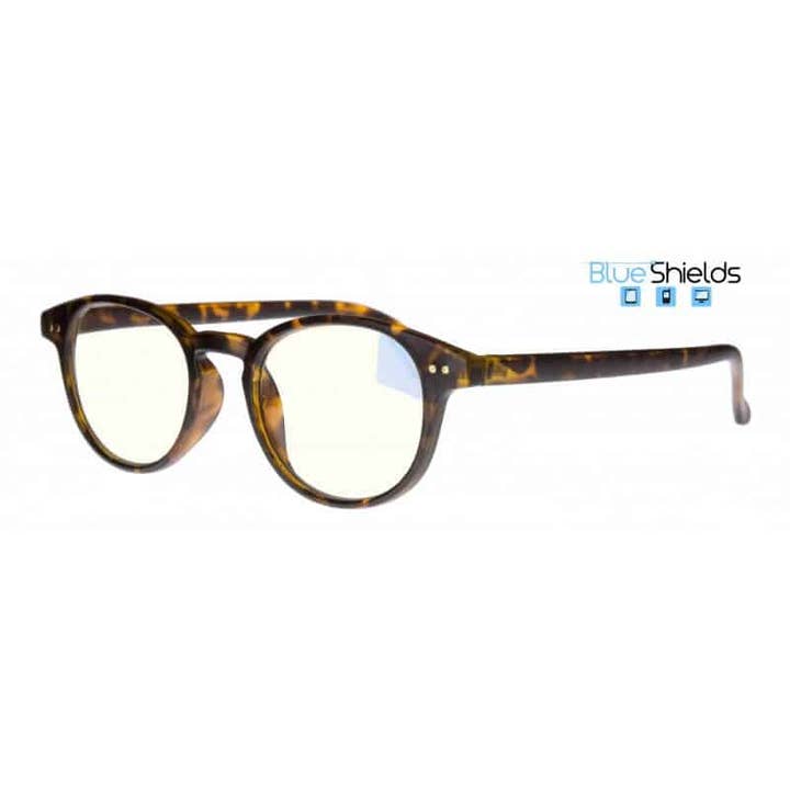Blueshields glasses 003 TFD003 for wholesale by Icon Eyewear Europe BV