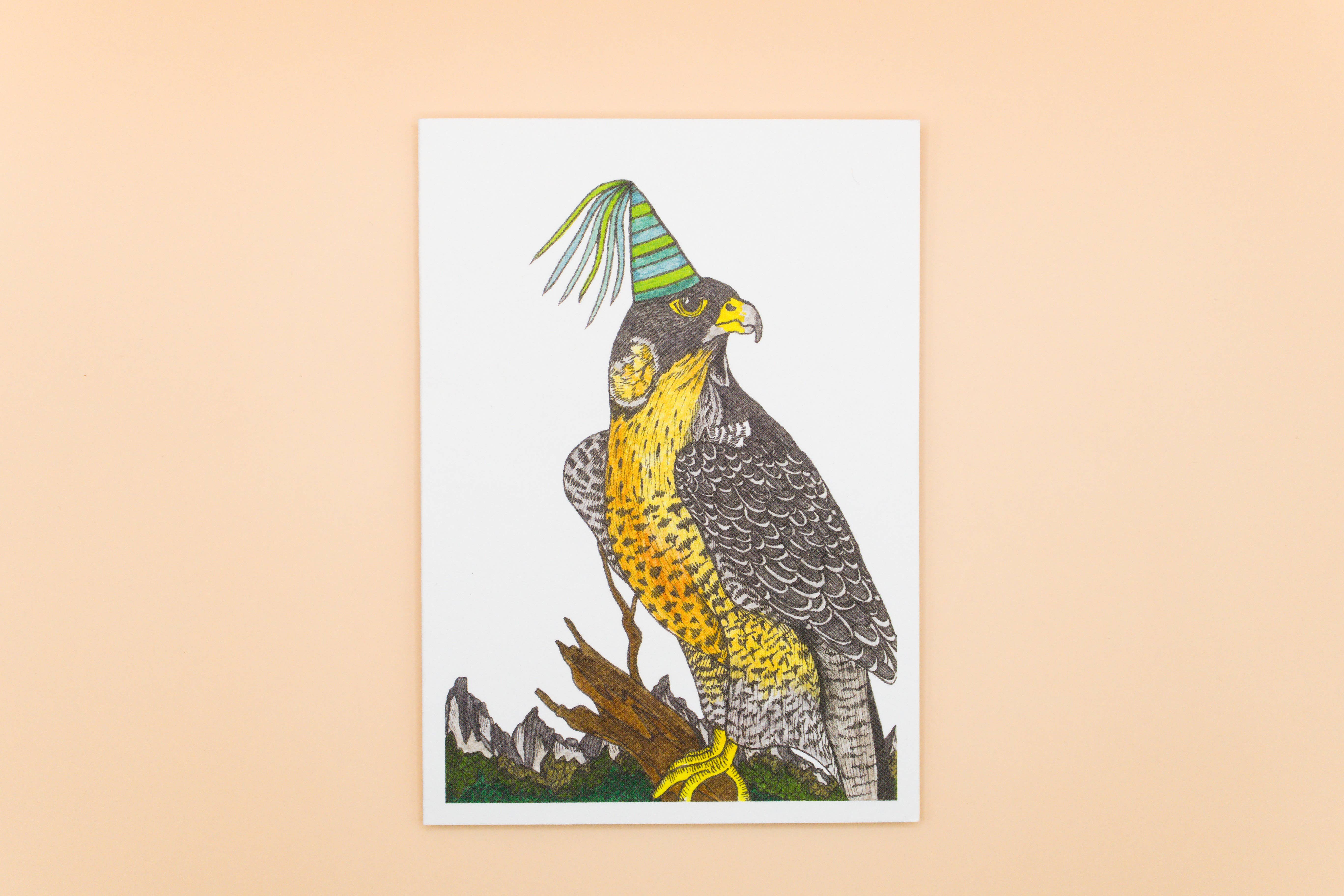 Sunshine Sea Art - Wholesale Birthday Card - Peregrine Falcon Greeting Card Australia Bird Birthday Card
